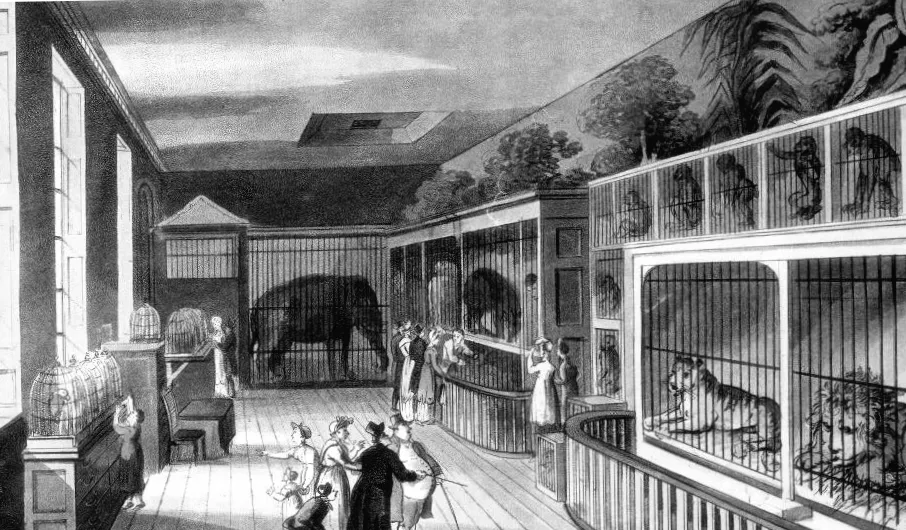 Смерть юного дресировщика львов, яка вразила заголовки