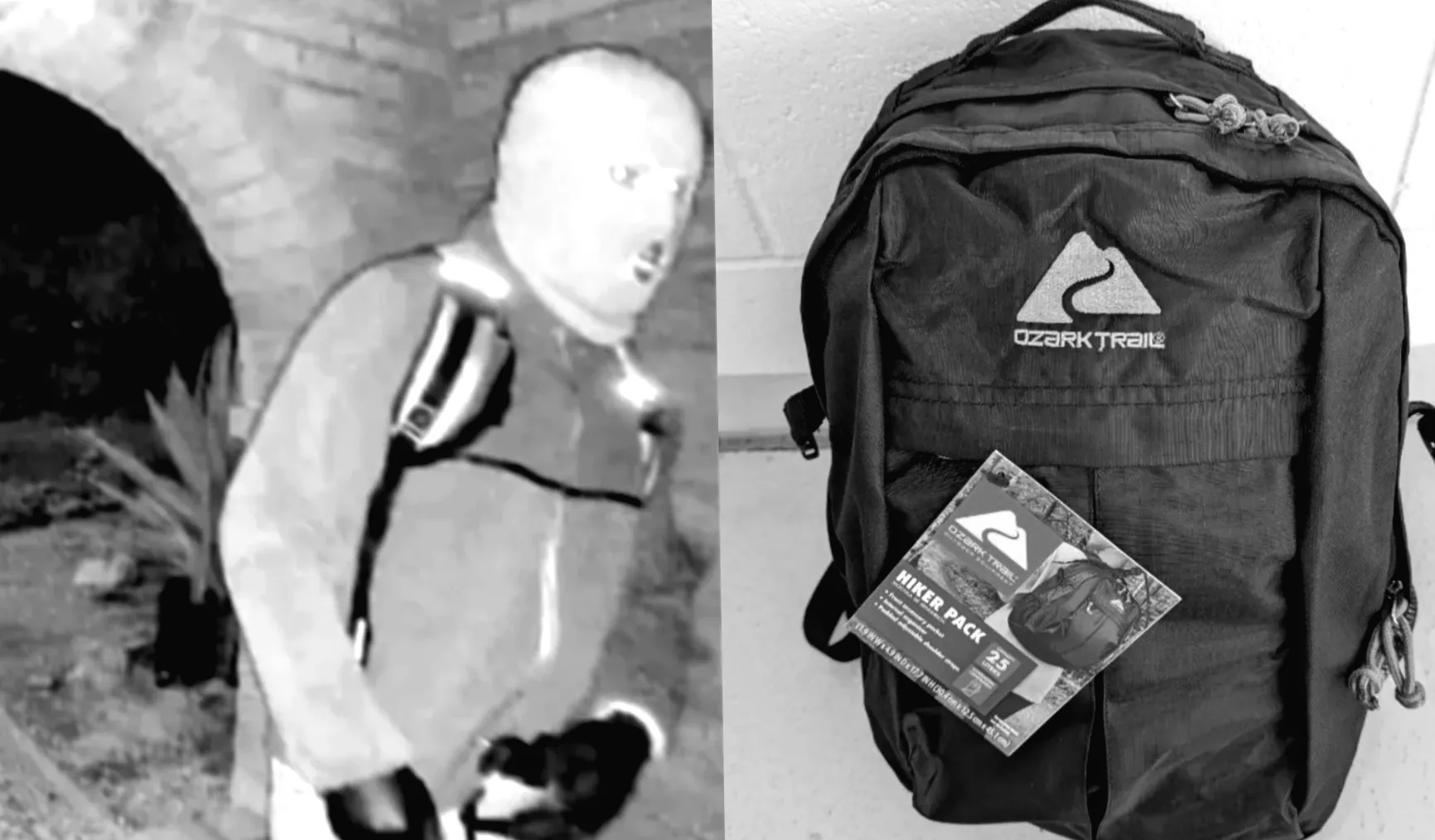 FBI опублікував опис підозрюваного та його рюкзака у справі зникнення Ненсі Гатрі.