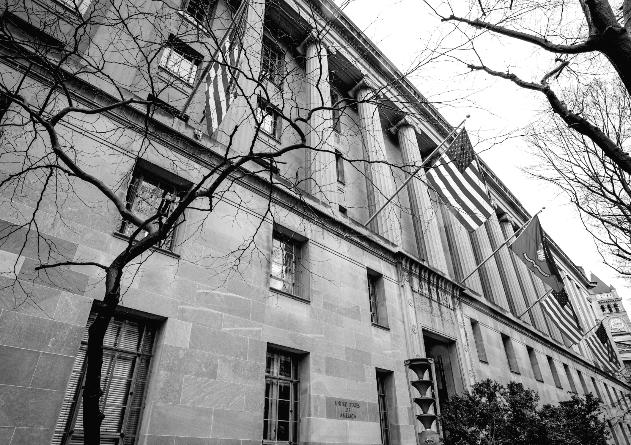 Трамп призначив високопоставленого представника Держдепартаменту для боротьби зі шахрайством