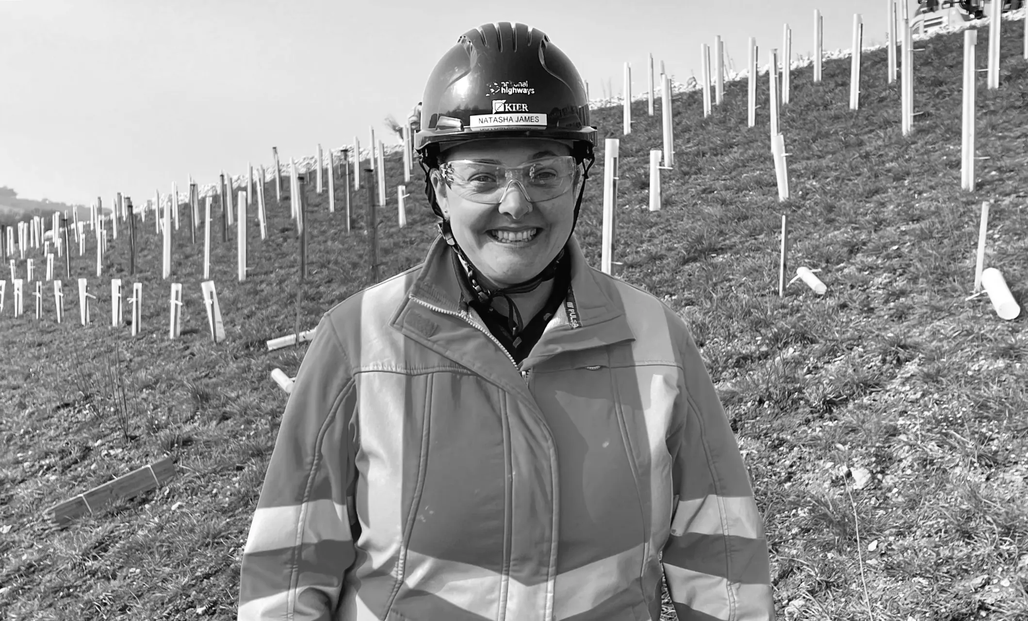 Понад 40 тисяч дерев посаджено на великому дорожньому проекті.