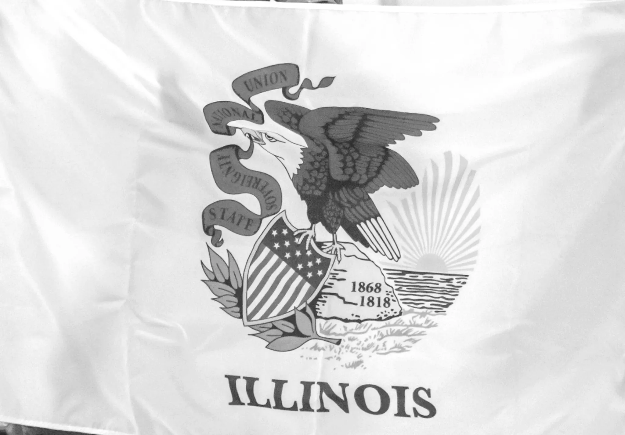 Іллінойс видає накази з припинення діяльності 65 онлайн-казино і платформ для розіграшів