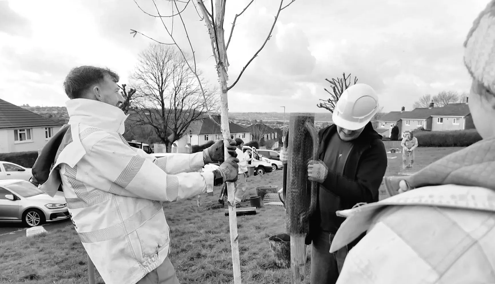 Громадські ліси сприяють зеленому відтінку міста
