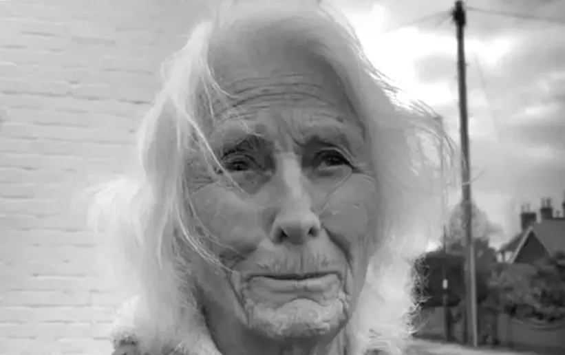 Розтрощено пам'ятне дерево Черчіля: сльози на очах