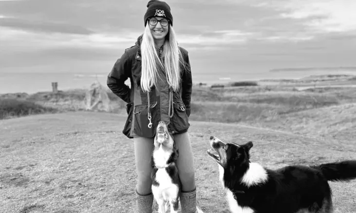 За останній рік кількість собак на Джерсі зросла на 25%