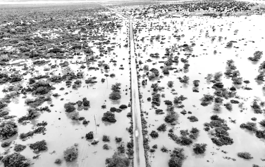 Дослідження показує, що зміни клімату погіршили дощі та повені, які призвели до десятків загиблих в південній Африці.