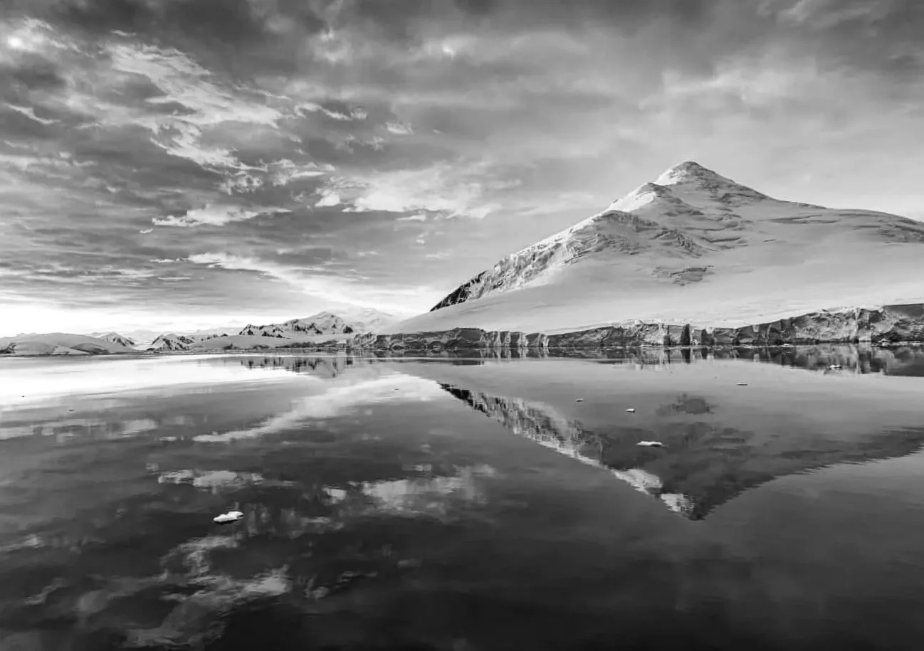 Навіть в Антарктиді мікропластик загрожує найтвердшим комахам