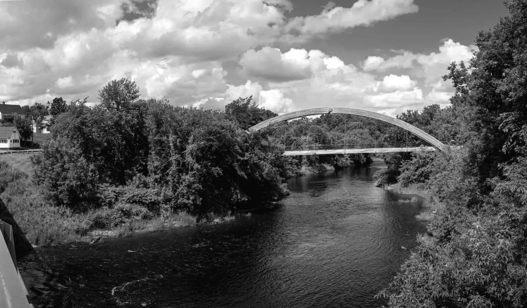 Фахівці здивовані після того, як тропічне створіння було помічене в несподіваному місці у США: "Нам нічого не залишається робити"