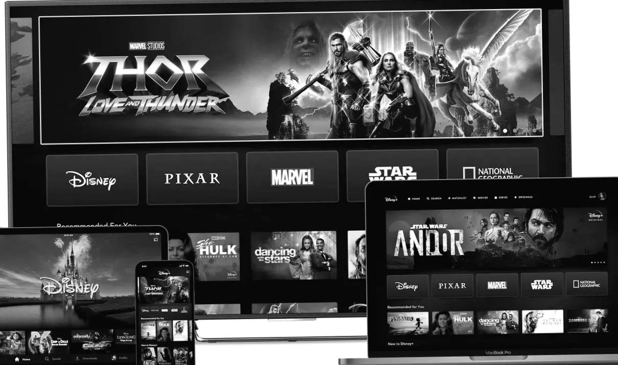 Netflix проти Walt Disney: Чий акціонер збагатіє більше?