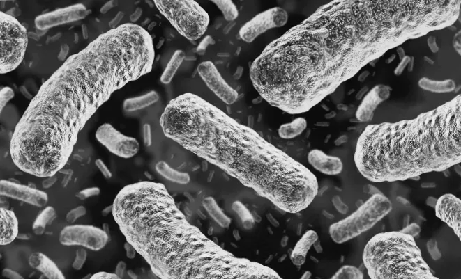 Вивіджувач видалено через ризик бактерій: що варто знати