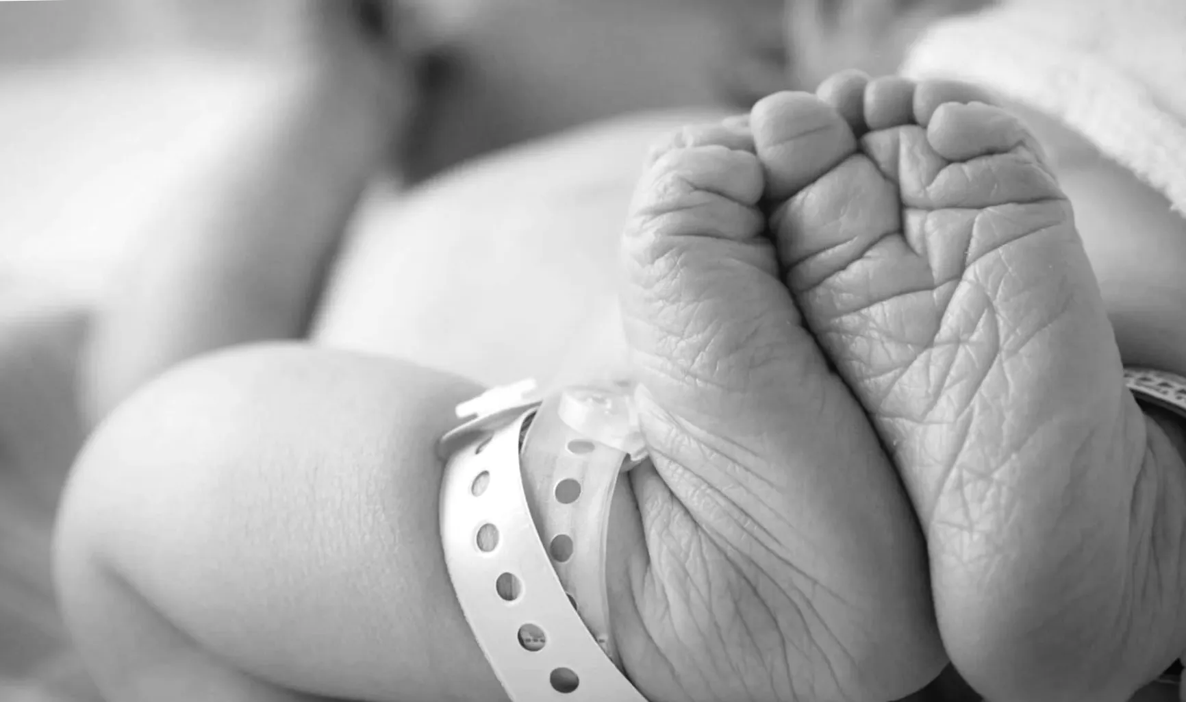 Не пройдуть відбір: критика Brickbat