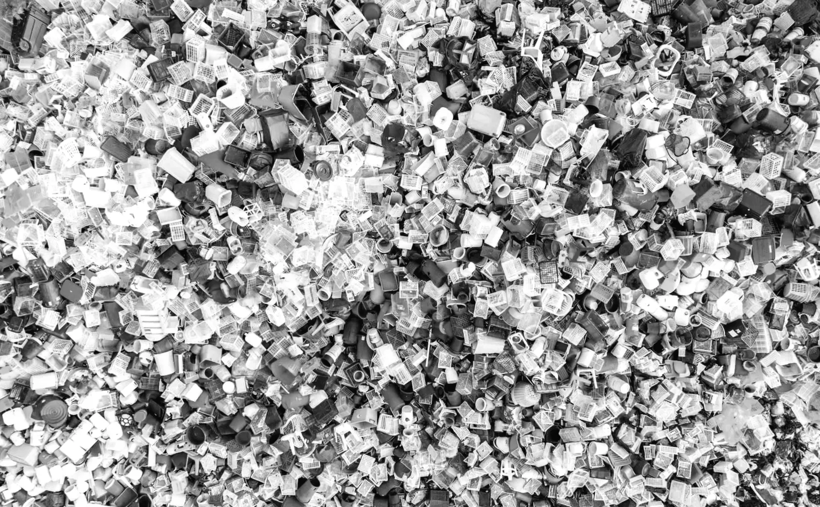 Студенти університету зробили відкриття, яке може вирішити проблему звичайних відходів: "Реальні зміни можливі"