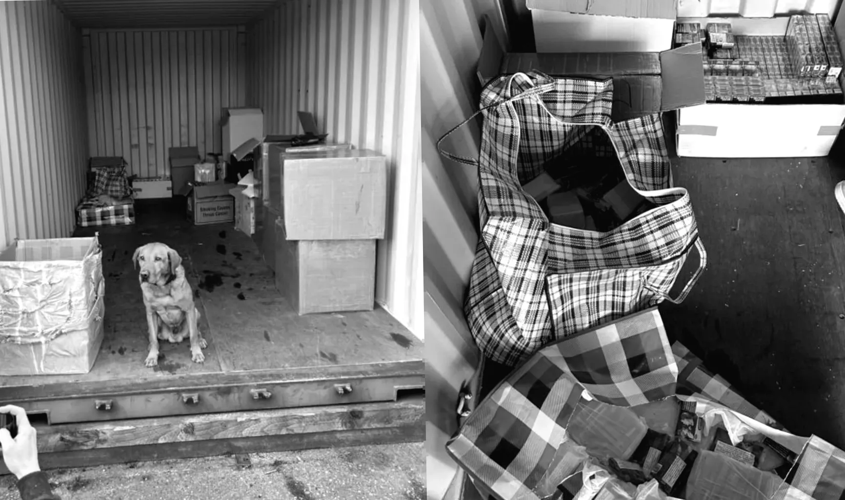 Собаки виявили контрабандні цигарки у фритюрницях