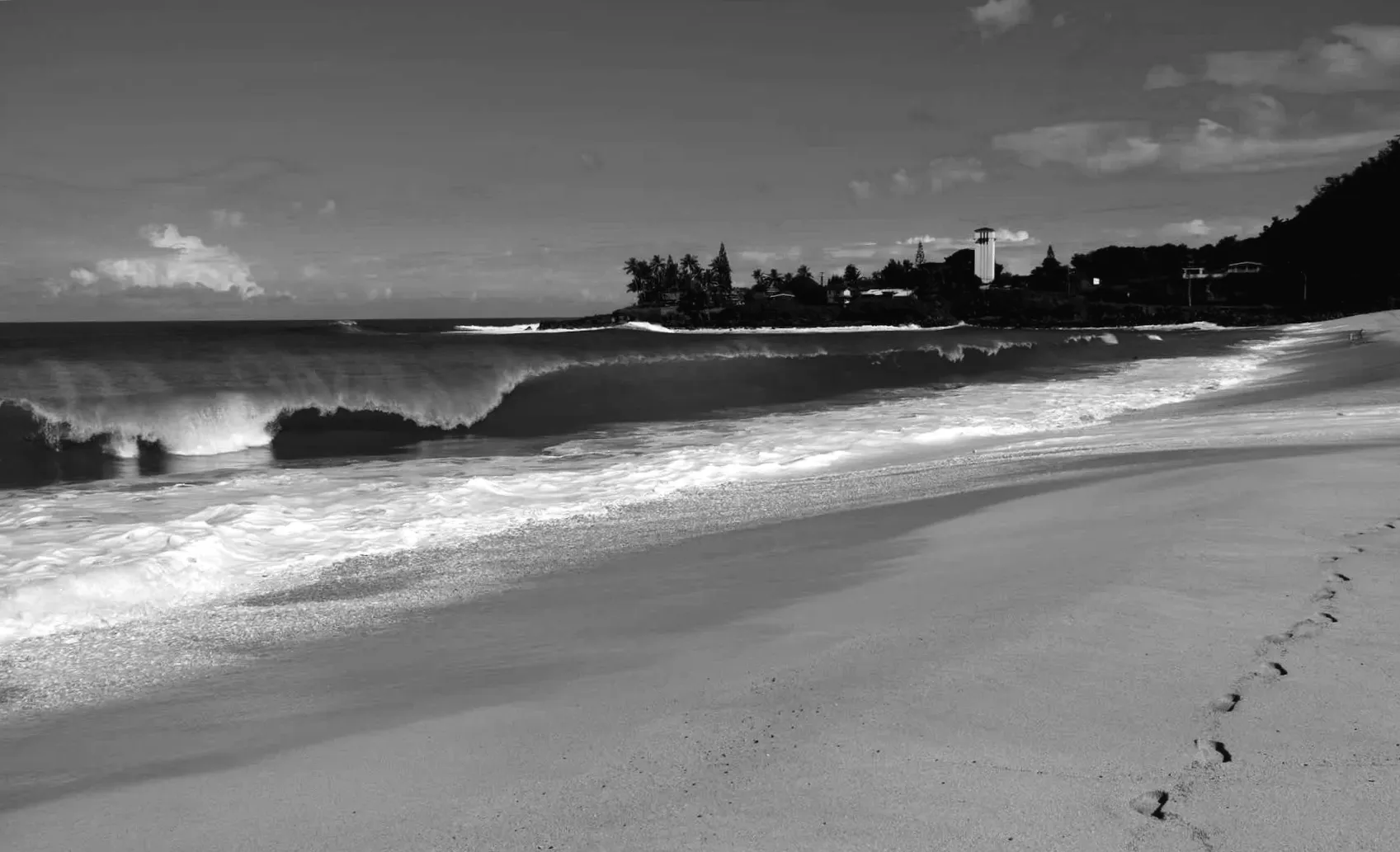 Офіційне попередження після виявлення акули біля улюбленого пляжу в США: «Терміново дзвоніть на 911»