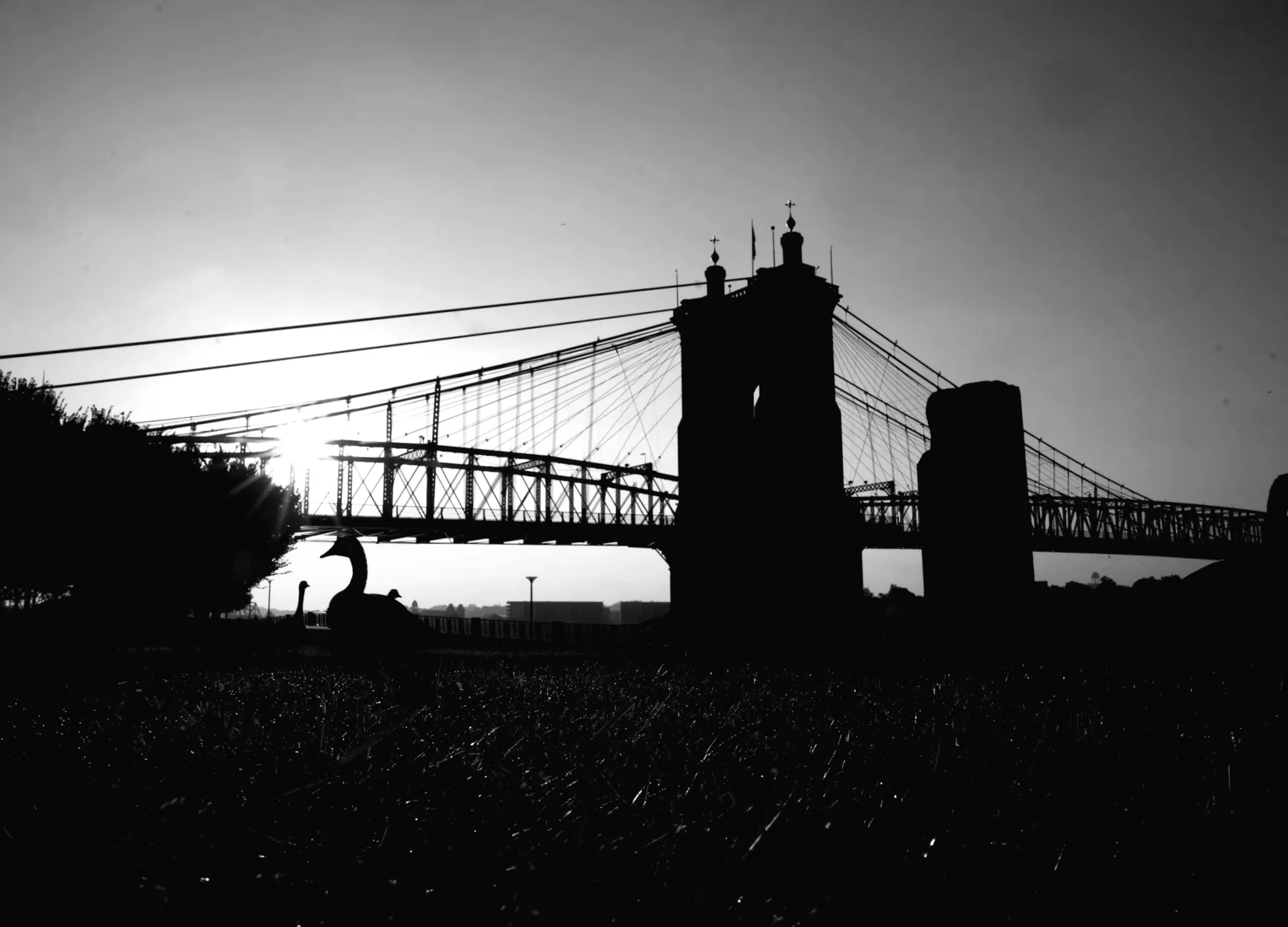 Повертаються шанси на сніг в прогнозі для Цинциннаті. Що ми знаємо