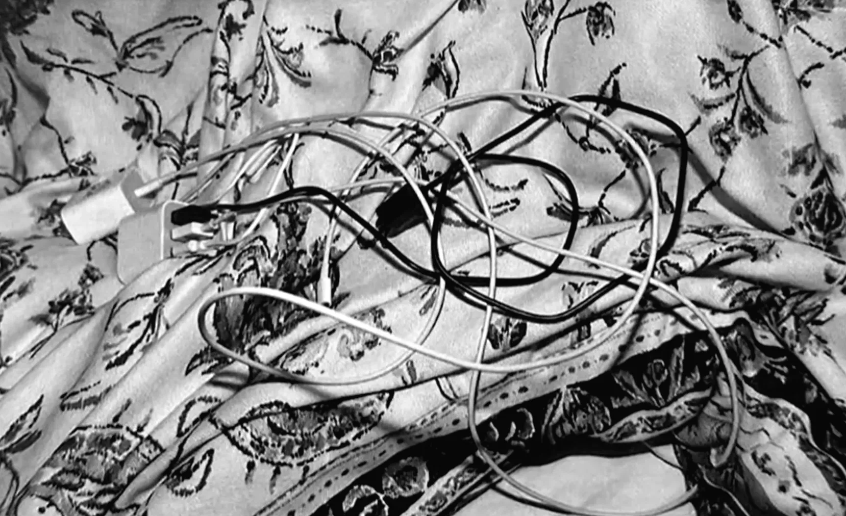 Жінку з Вірджинії потрапила у пастку після розставання з обманливим бойфрендом