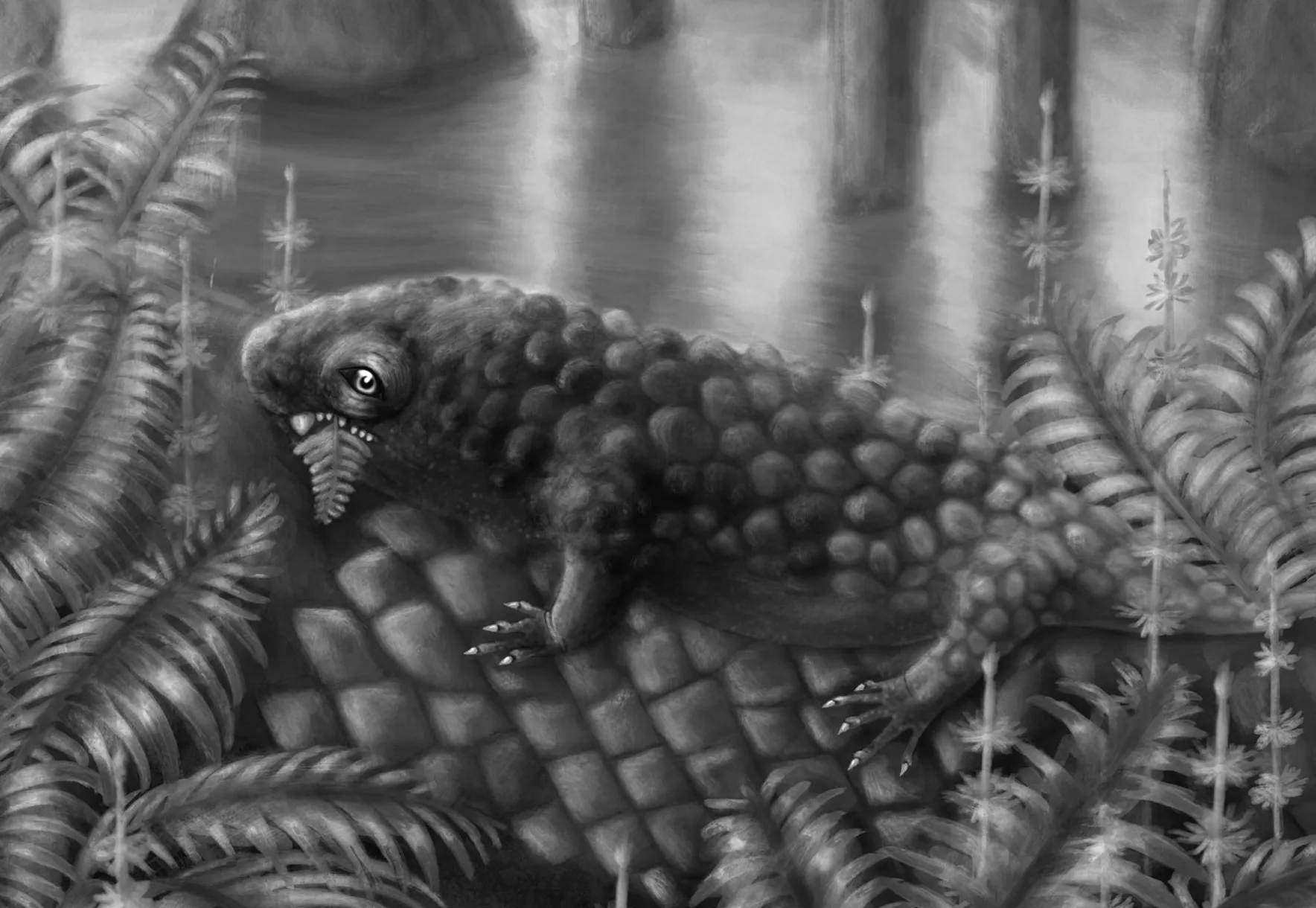 Можливо, серед найраніших рослиноїдних сухопутних тварин був істотний розмір футбольного м'яча