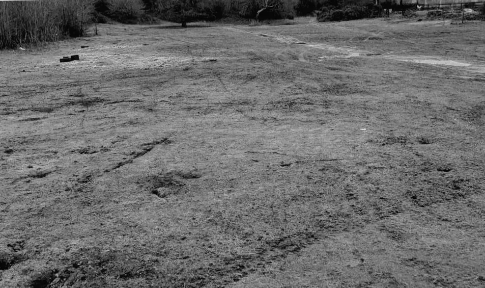 Поліція розганяє авто і мотоциклісти на красивій зоні