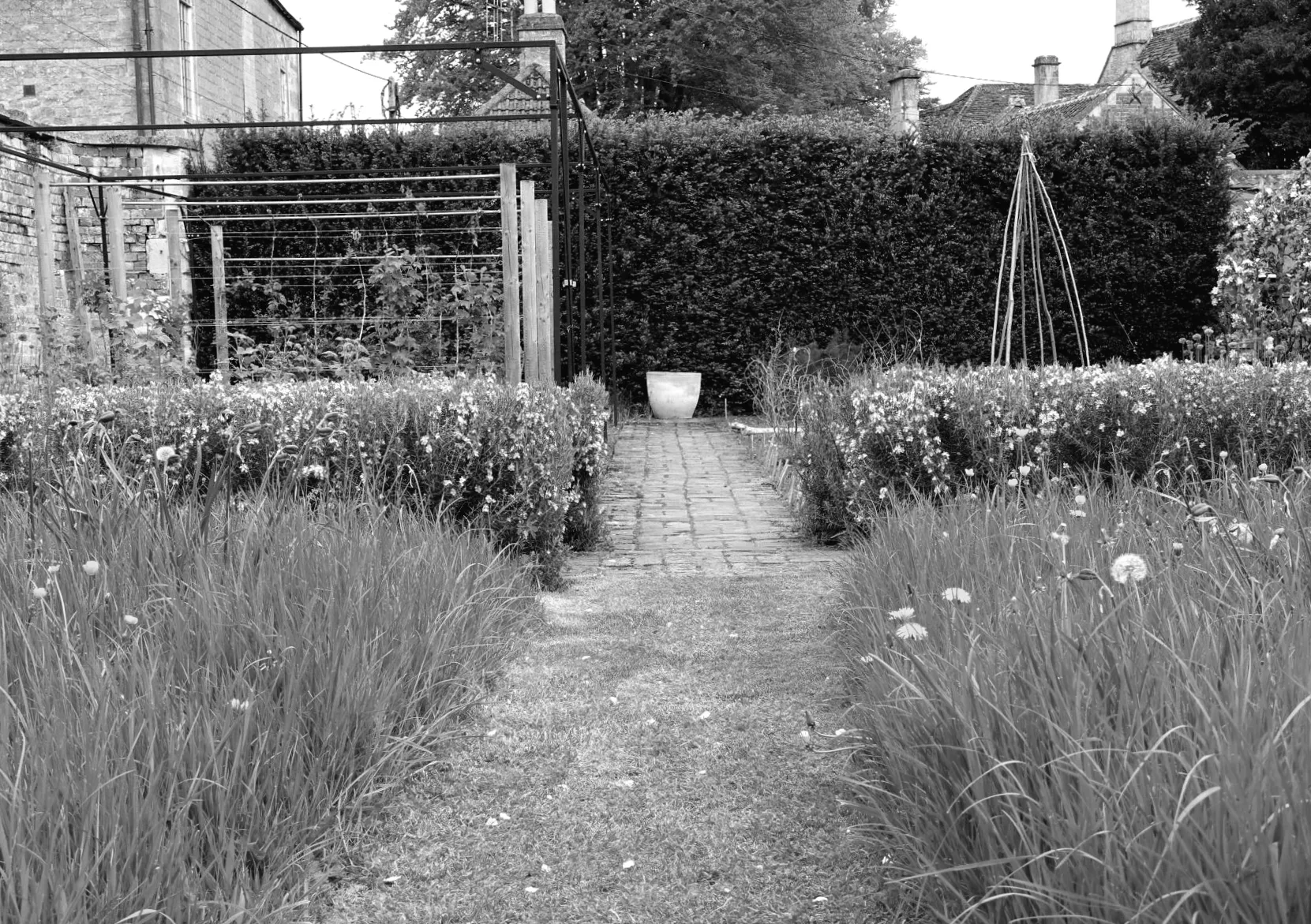 Мешканці борються з HOA після отримання погрози: "Мені сподобалося, що ви зробили"