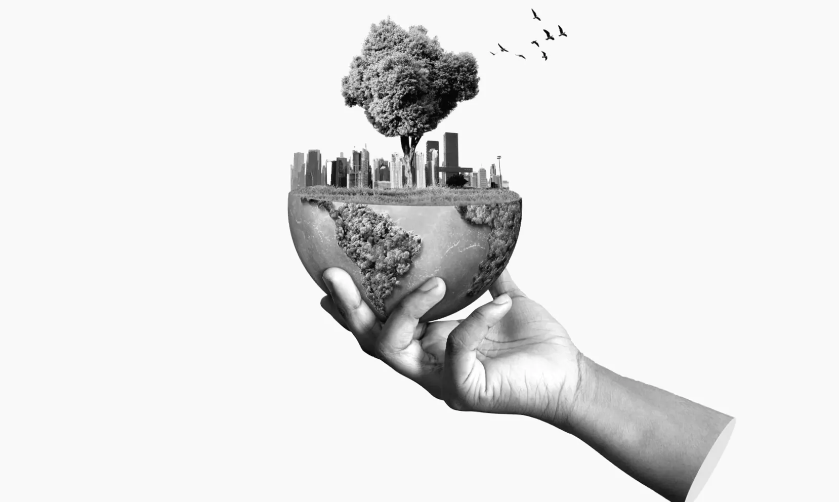 Чи можуть кіно та телебачення прискорити боротьбу з кліматичними змінами? Опитування IPSOS запитує творців про перешкоди та можливості.