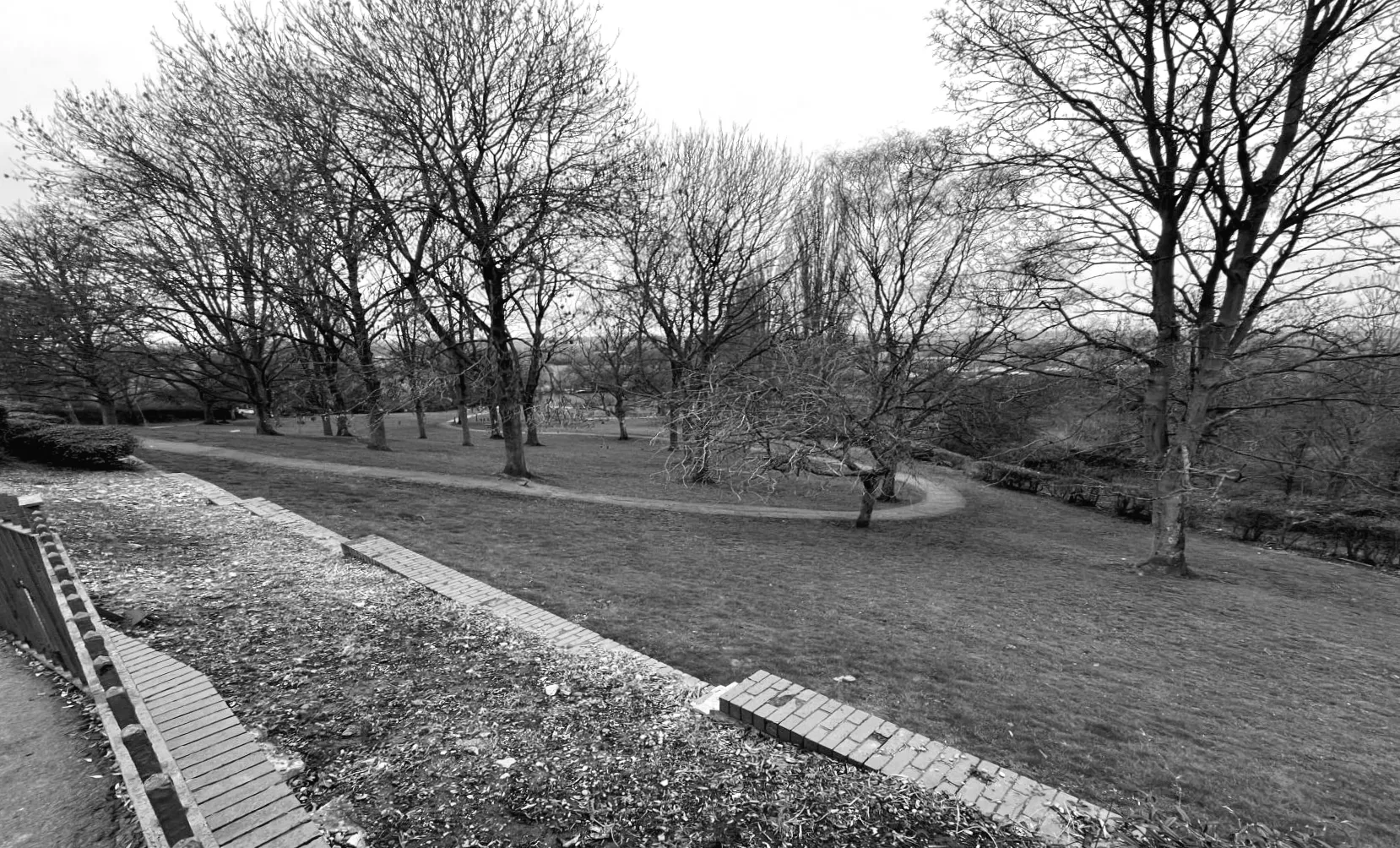 Дерева видаляють перед роботою над міським набережним