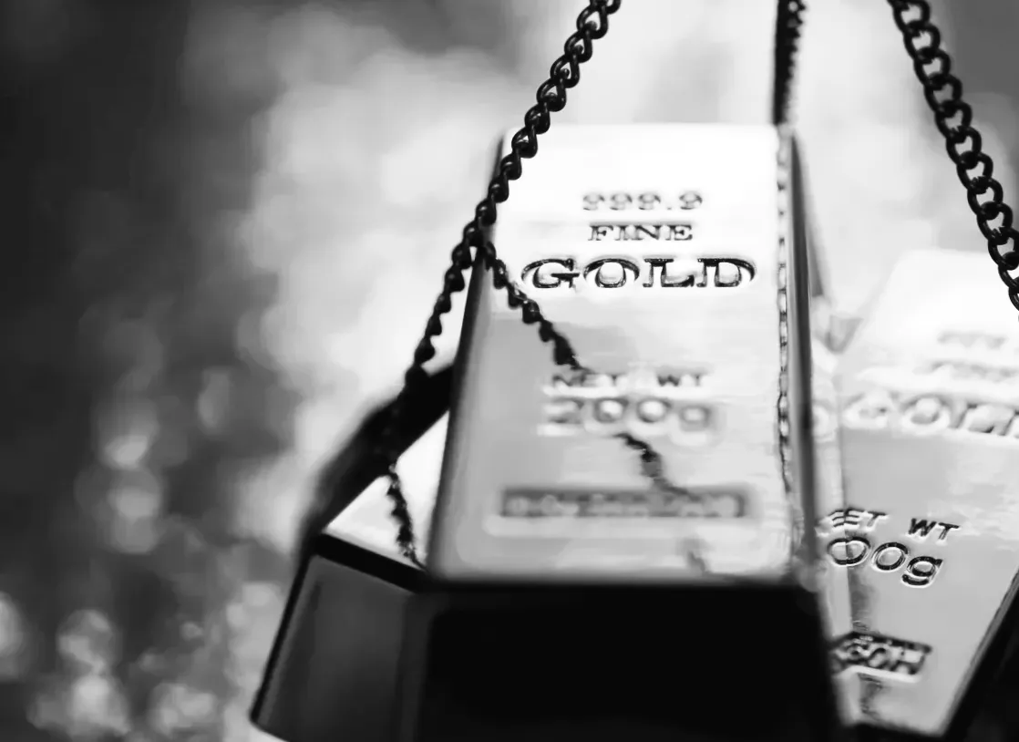 Хочеш захиститися від інфляції? Просто купуй золото, пропонує законопроєкт GA