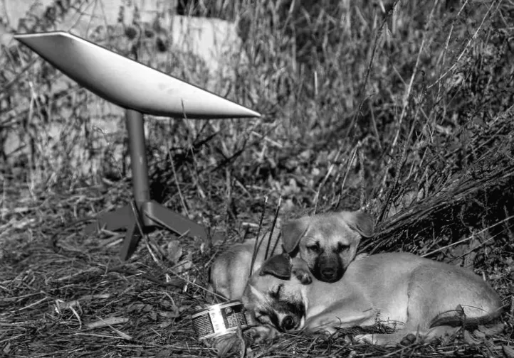 Україна співпрацює з SpaceX, щоб припинити використання російських дронів через Starlink, - повідомляє Київ.