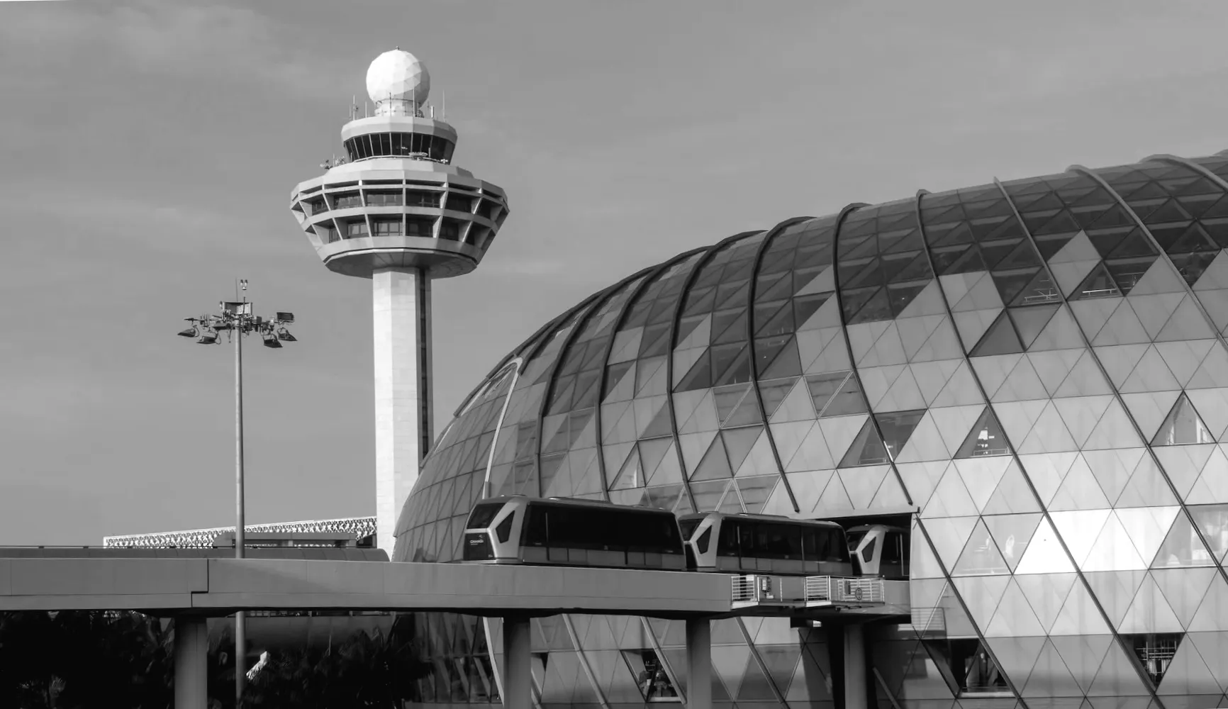 Авторитети знайшли шокуюче відкриття під час огляду підозрілого вантажу в аеропорту - ось, що вони знайшли