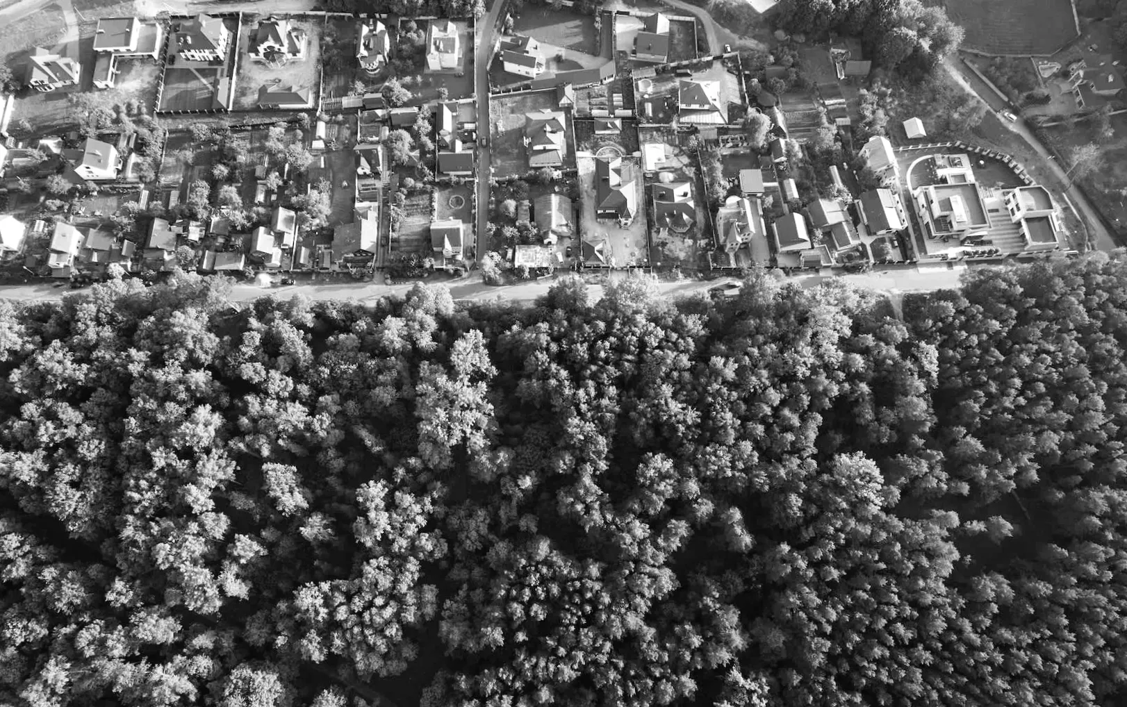 Місцеві жителі вразилися діями зграї диких тварин: "Незабаром може стати неможливим контролювати чи впіймати їх"