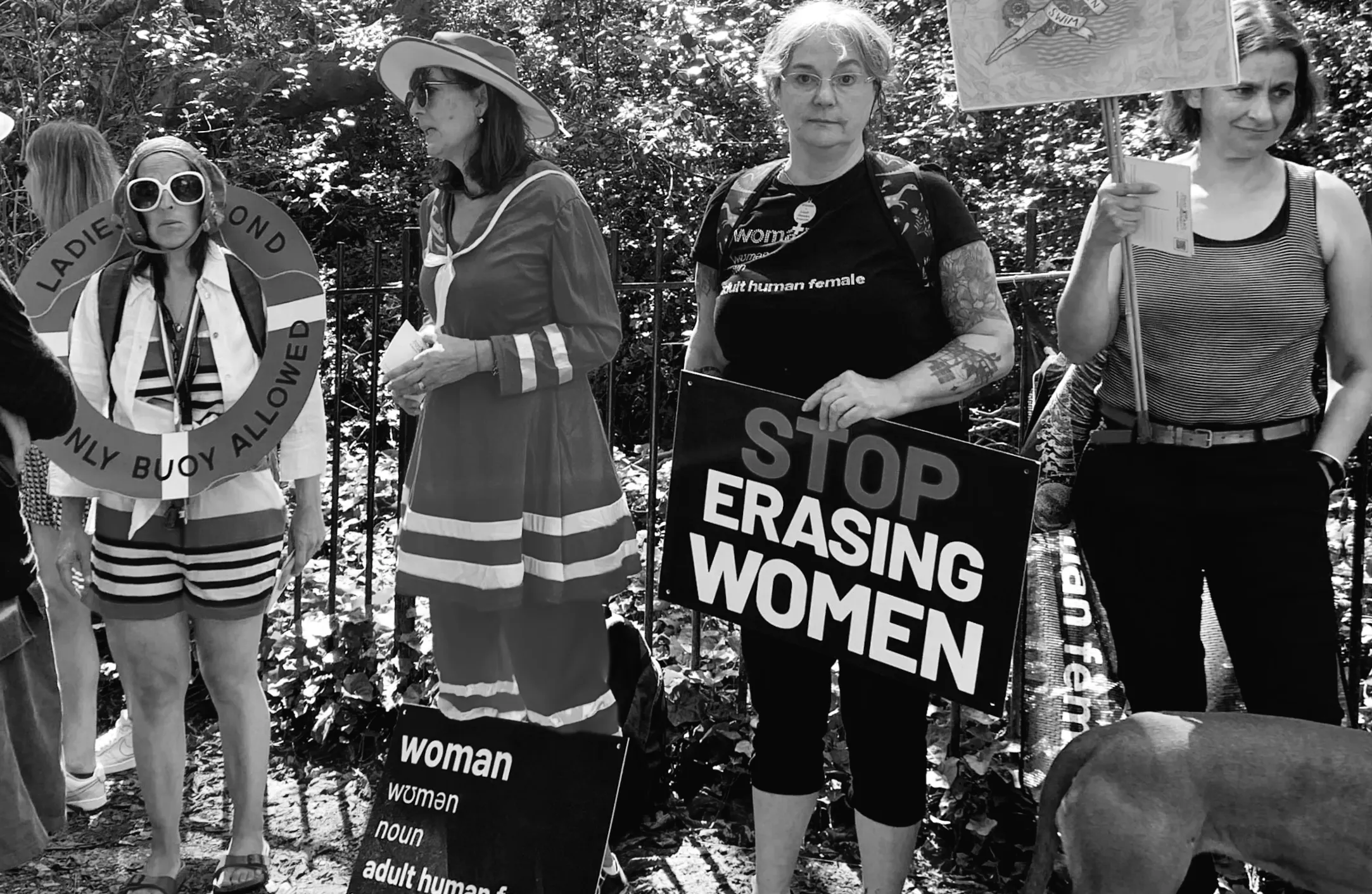 Чоловіки, чому ви не можете просто залишити дамам їхній ставок?