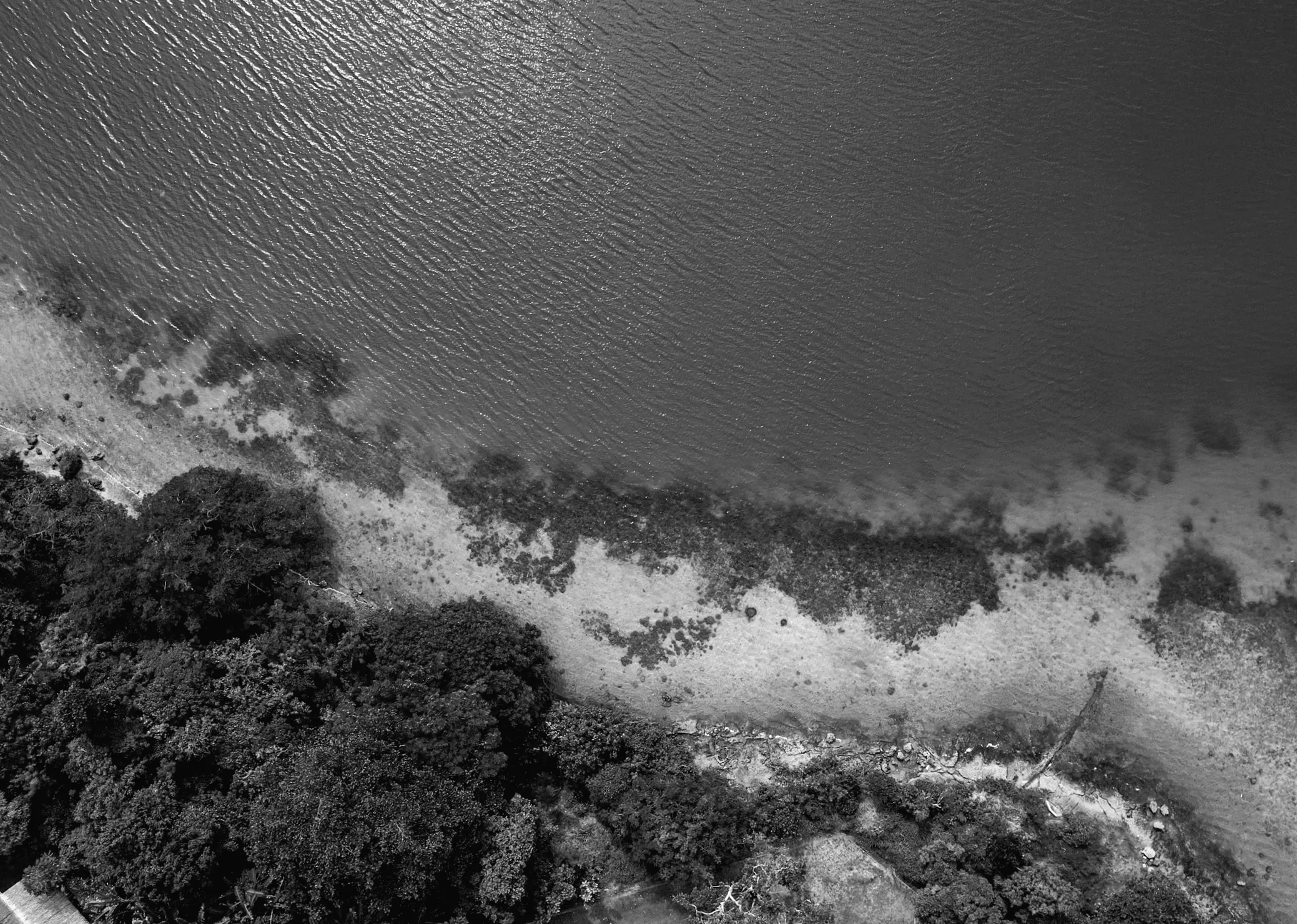 Рівень моря виявився вищим, ніж вважалося, через "методологічний сліпий пляму", показує дослідження.