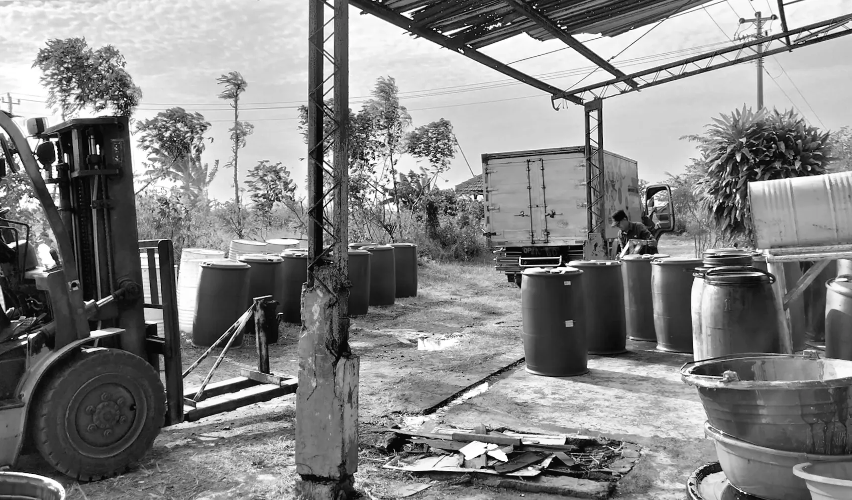 Влада наклала штраф у розмірі $8.5 мільярда за виявлення злочинної діяльності в лісі: "Шлях нелегкий"