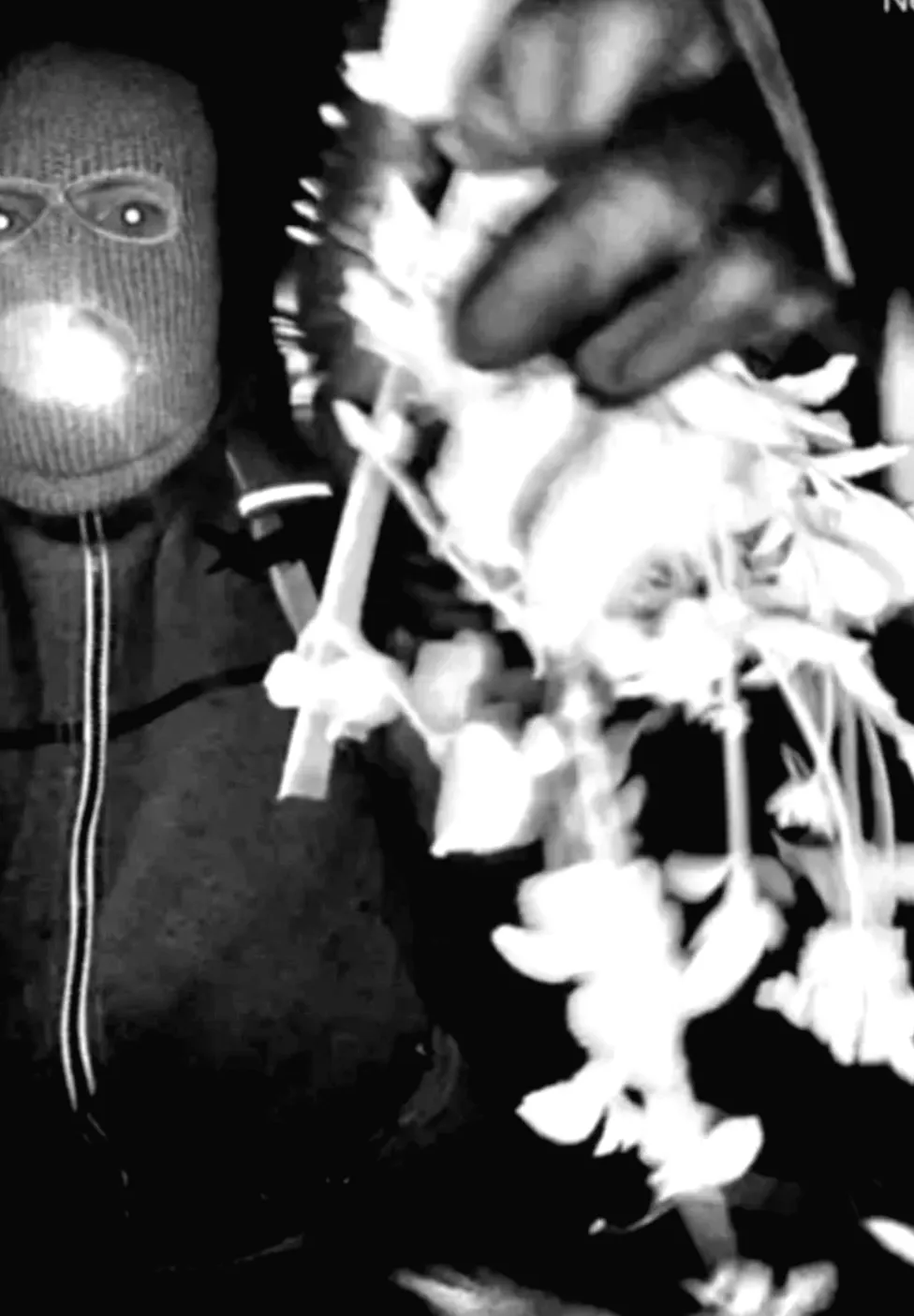 FBI опублікував деталі підозрюваного у справі Ненсі Ґатрі, артистка-форензик поділилася своїм ескізом.