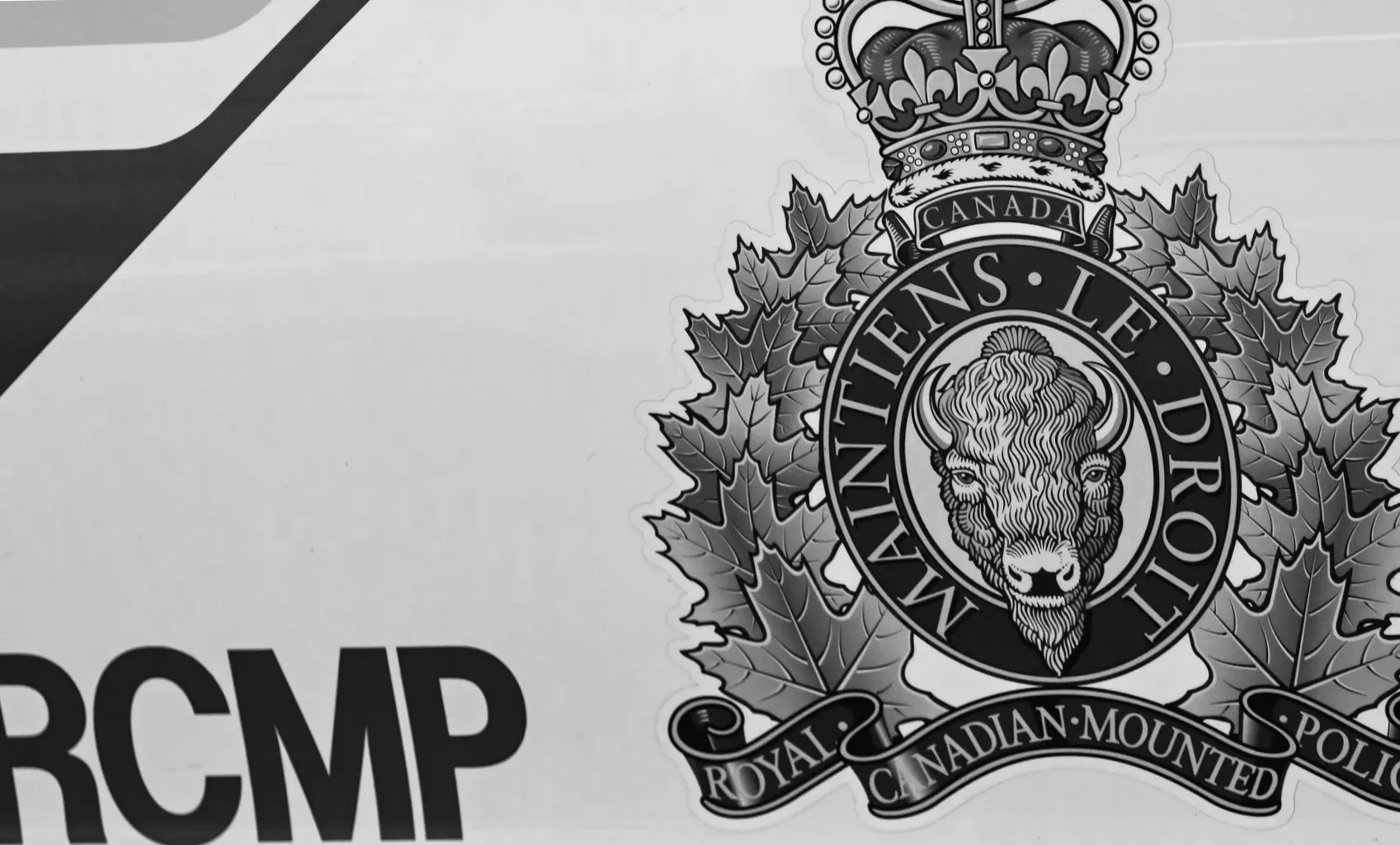 Канадці вимагають введення надзвичайного стану через міжнародні шахраївські групи