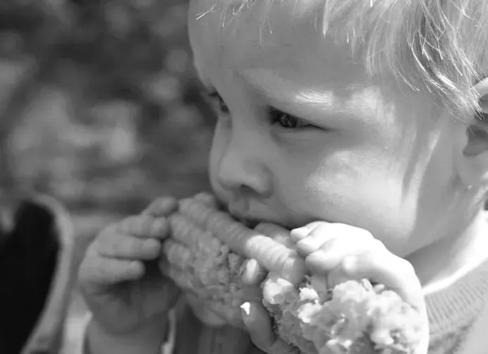 Ціни на кукурудзу впали до п'ятимісячного мінімуму. Час продавати?