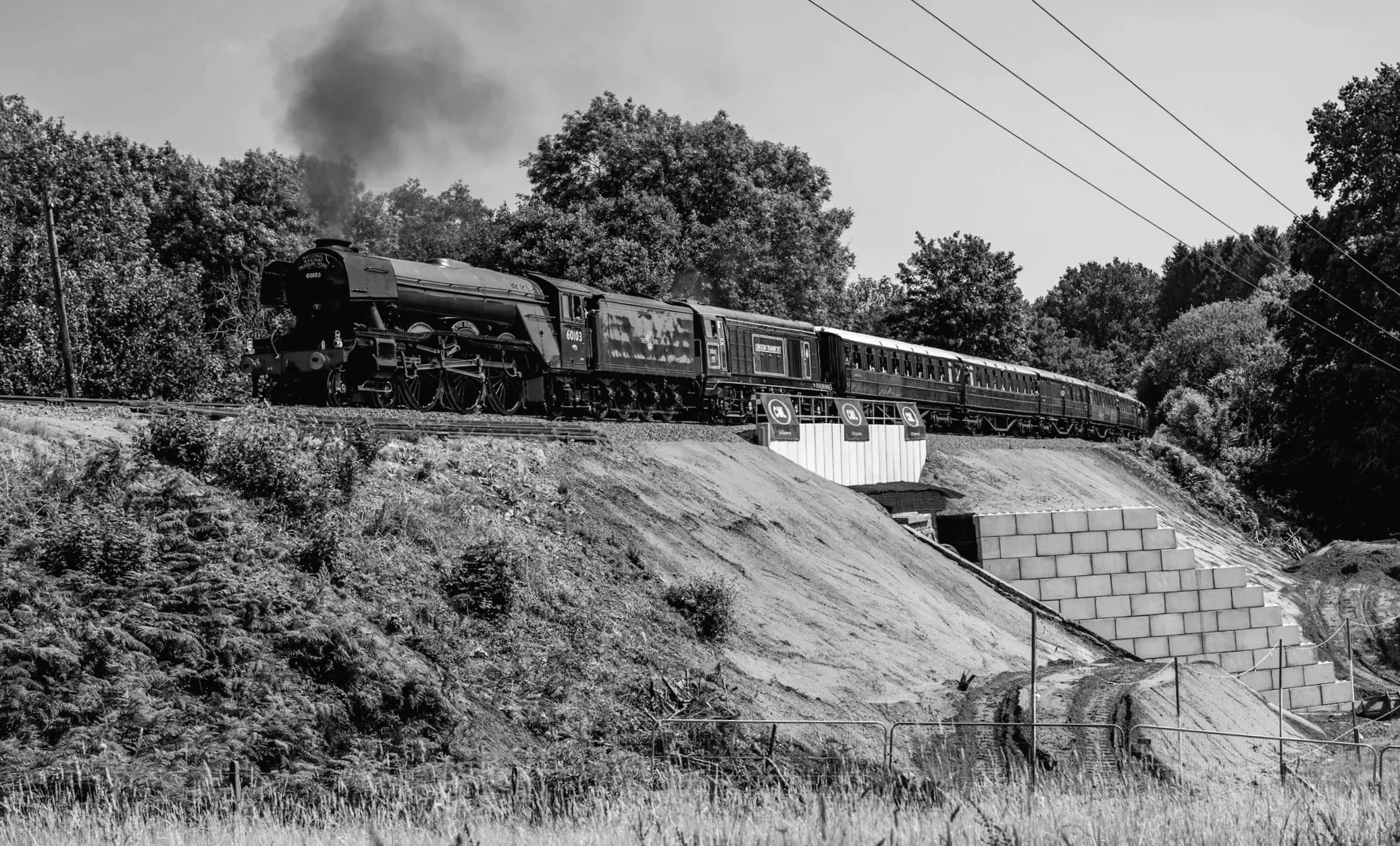 Нагороджена залізниця спадщини за реакцію на обвалення землі.