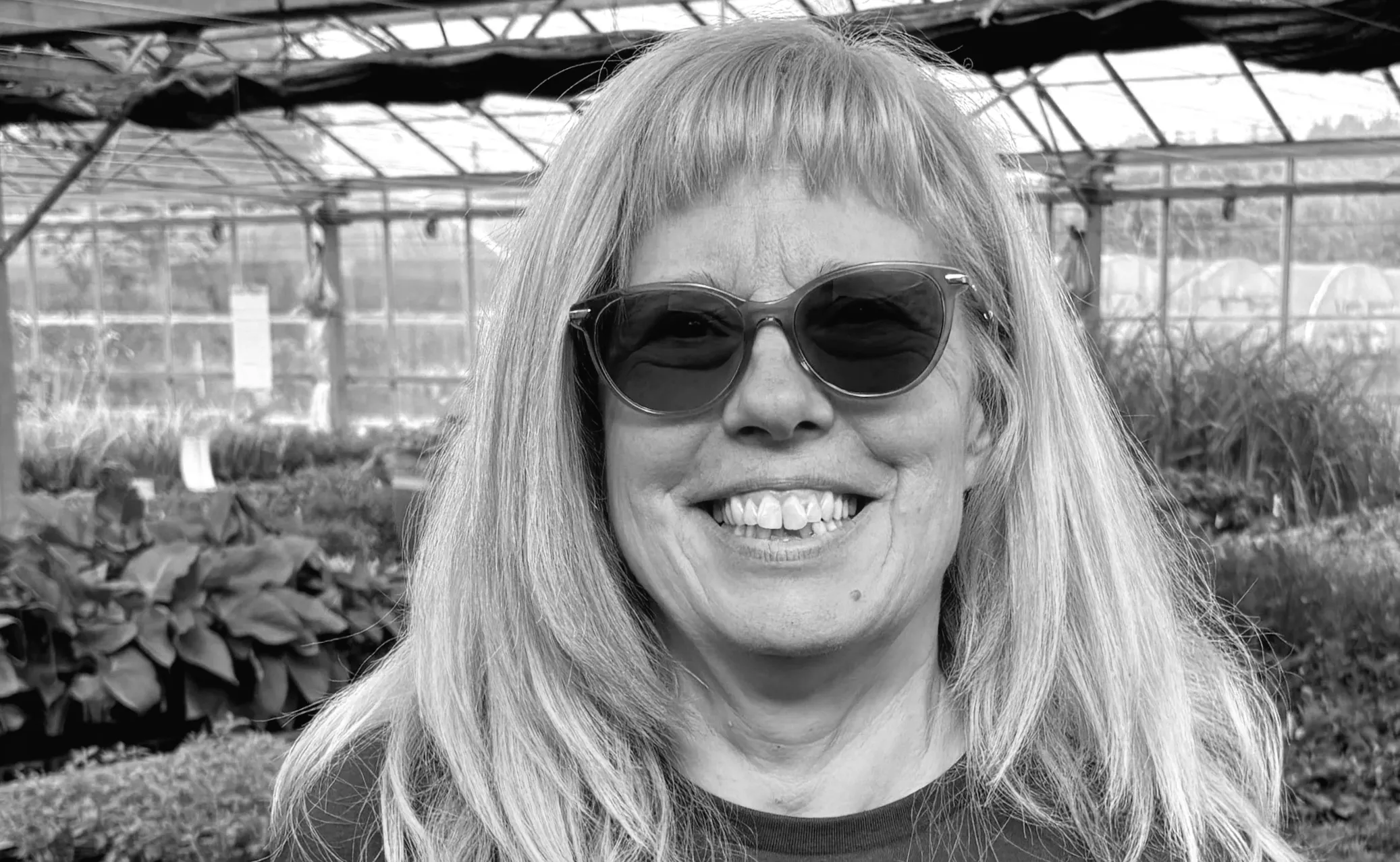 Негода пошкодила ферми та розсадники