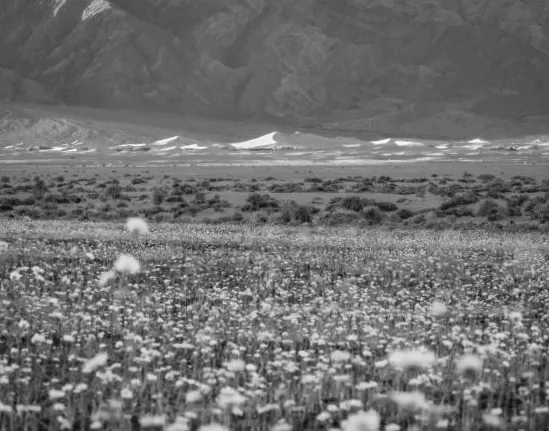 Смертельна долина: найкращий суперблум з 2016 року