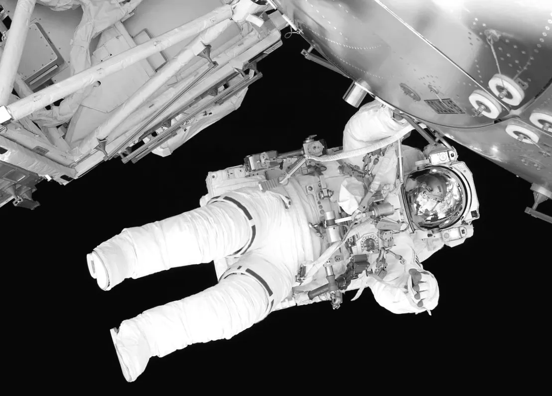 Firefly Aerospace Inc. (FLY): Теорія биків