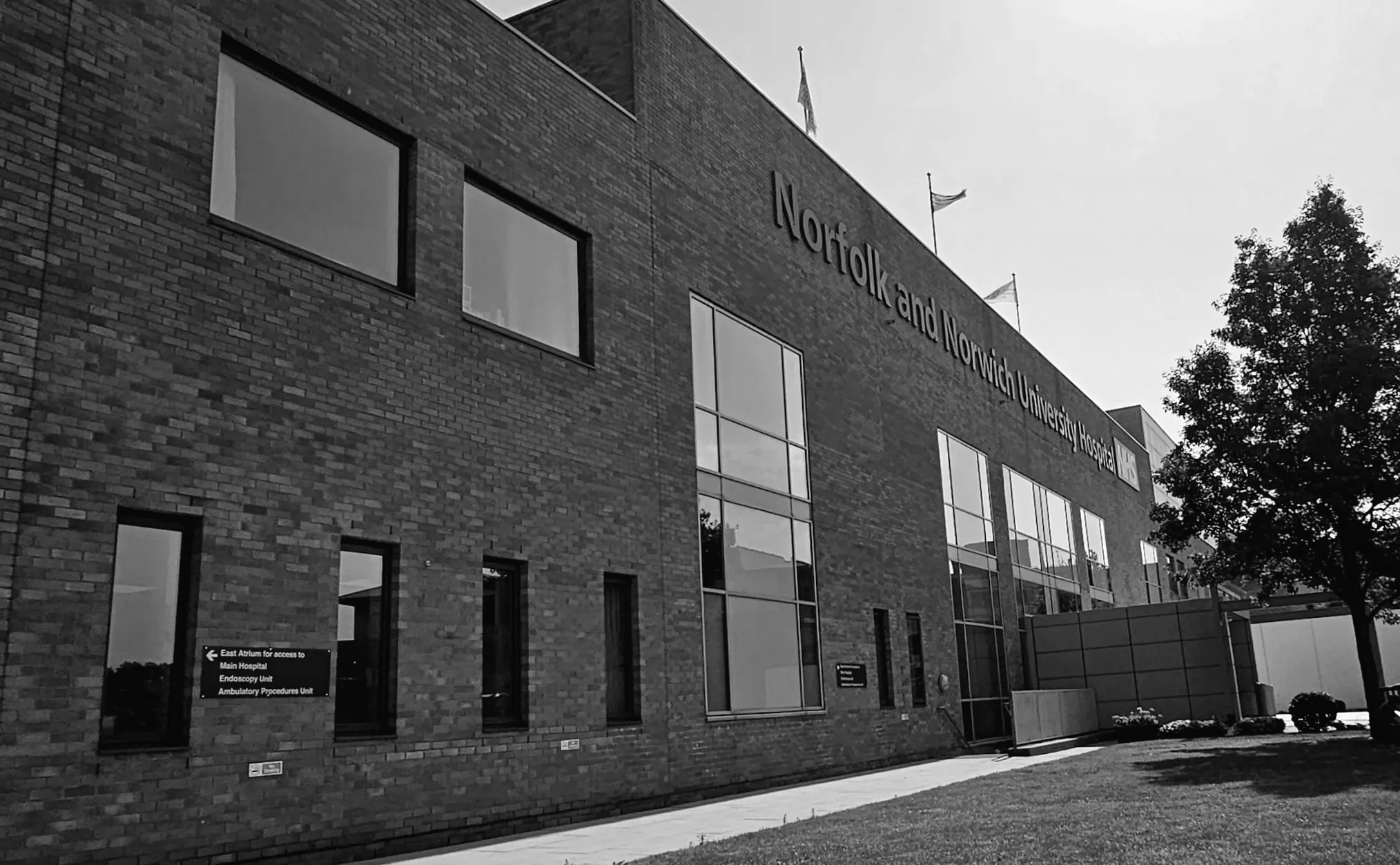 NHS відкладає запуск великого ІТ-проекту на суму £88 млн