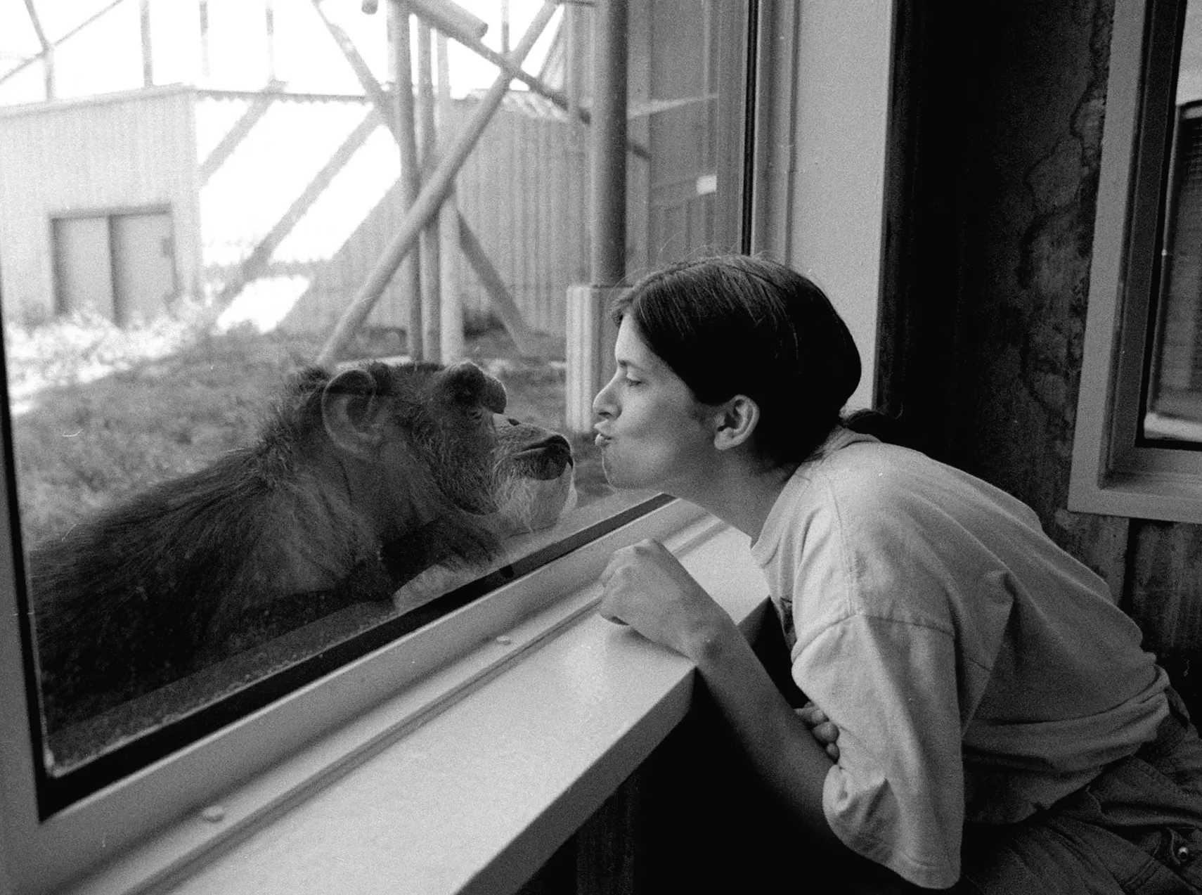 Чи колись люди та тварини зможуть спілкуватися? Так говорить наука.
