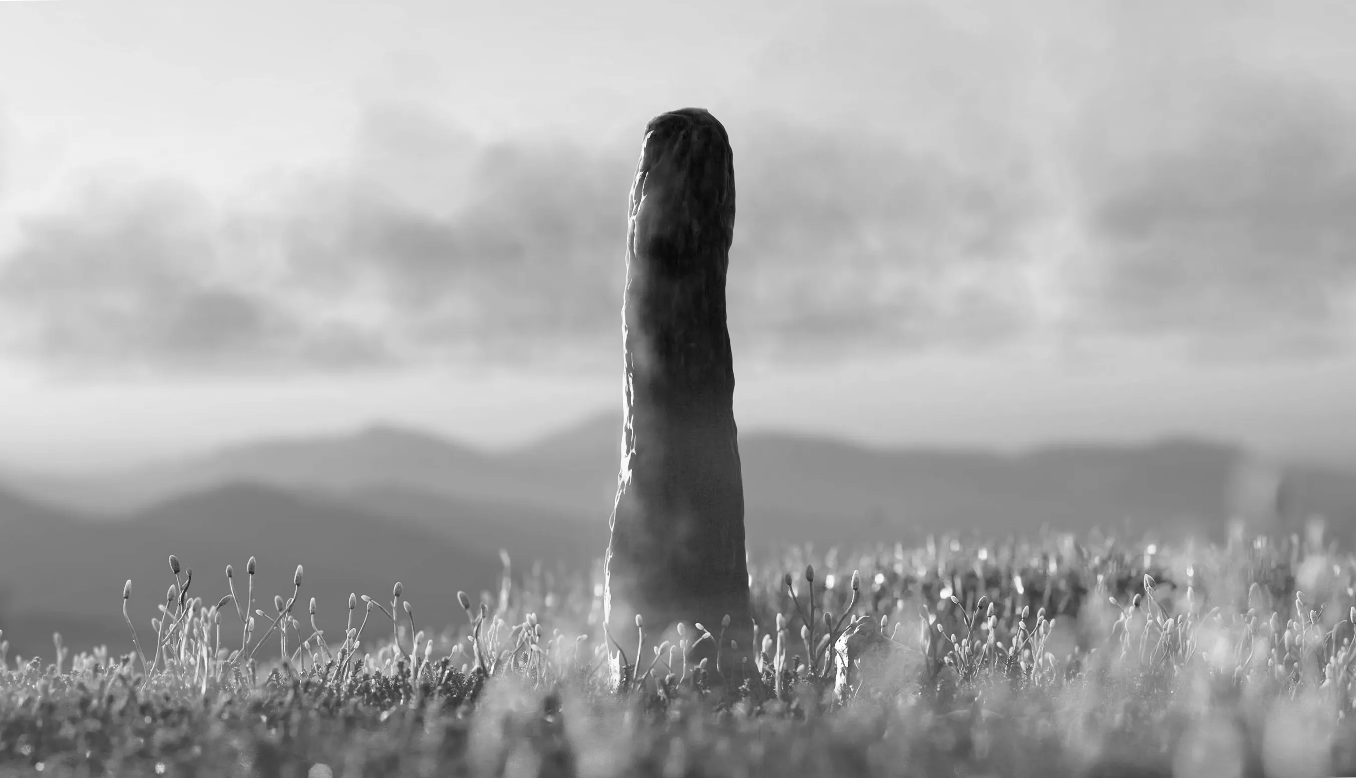 Новий аналіз вказує, що загадковий викопний організм може бути невідомою формою життя