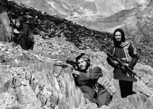 Пакистан та Афганістан повідомляють про вбивство десятків солдат супротивника під час безжальних боїв.