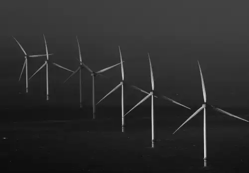 Трамп вважає вітроенергетику для "дурнів". Європейські країни погодилися на будівництво вітропарку.