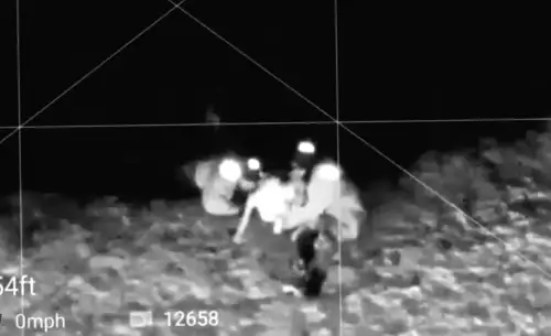 Рятувальники врятували собаку зі замерзлого ставка в Массачусетсі