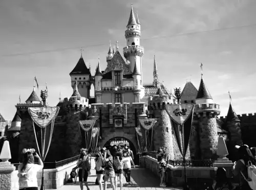 Пара відтворює сцену з фільму "Леді та Бродяга" у Діснейленді, коли на них впала дерево