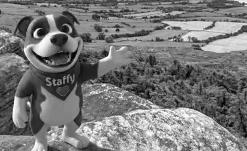 Мешканці запрошені створити скульптури для мистецького трейлу