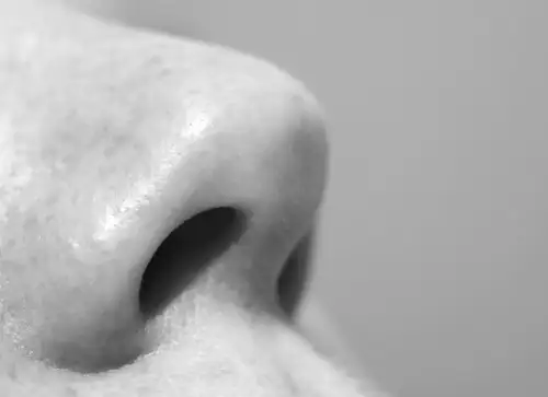 Чому ви дихаєте тільки однією ніздрею одночасно