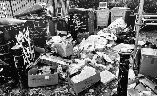 Повний сміттєвий бак створює "зелене гетто"