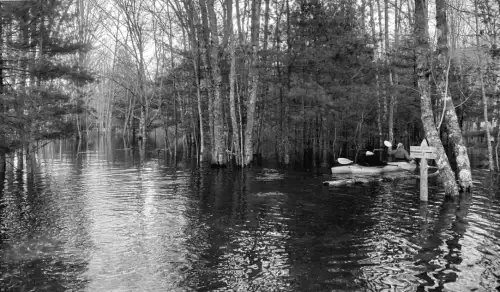 $4.6 мільйонів виділено на відновлення боліт по всій державі