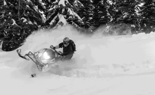 Кінець справи про вбивство вовків у Вайомінгу? Коді Робертс погодився на угоду і уникнув в'язниці